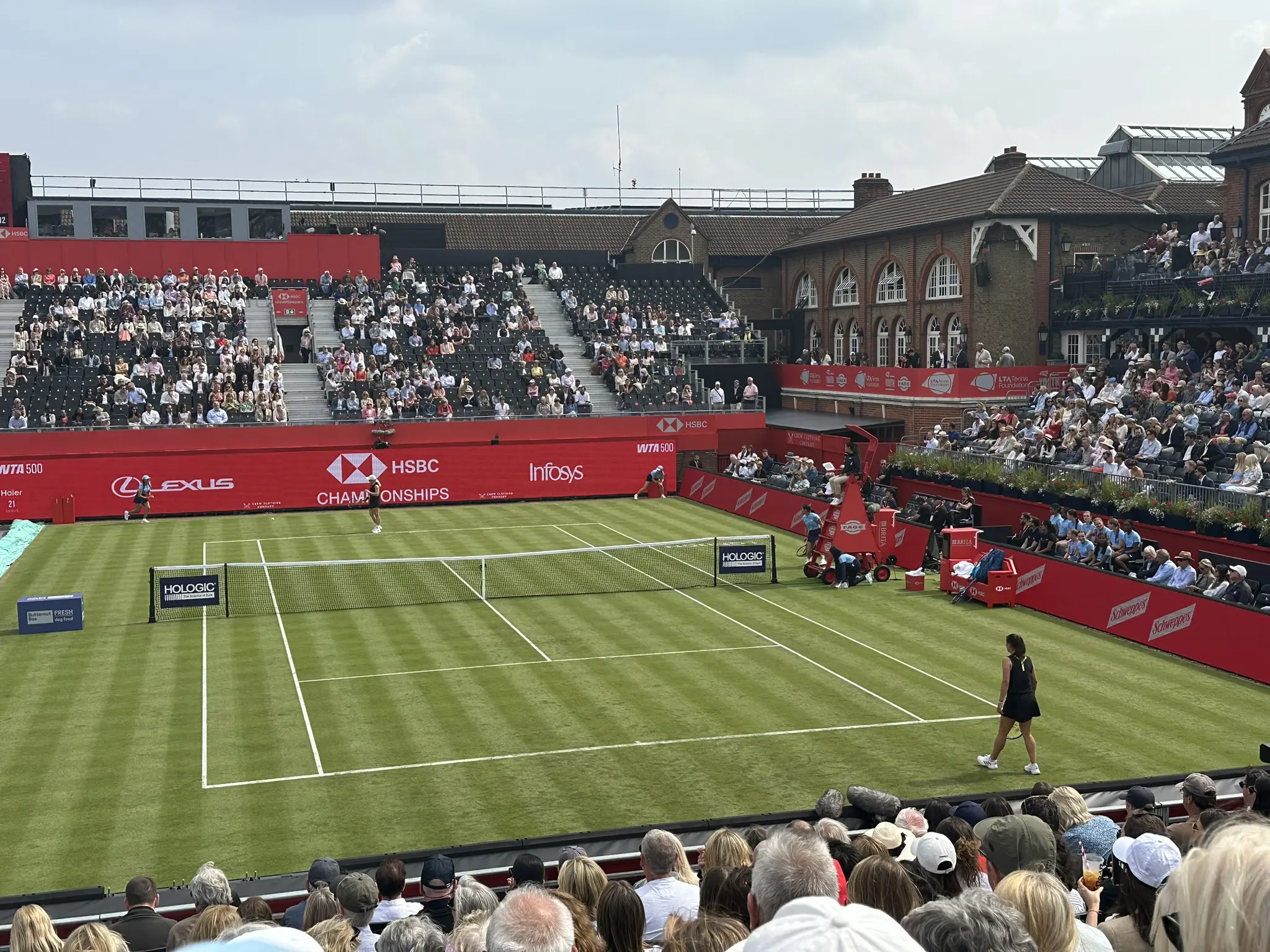 Highlights and Insights from the 2023 Queens Tennis Tournament image 1