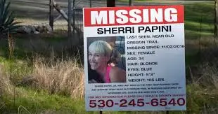 Latest Developments in the Sherri Papini Case image 1