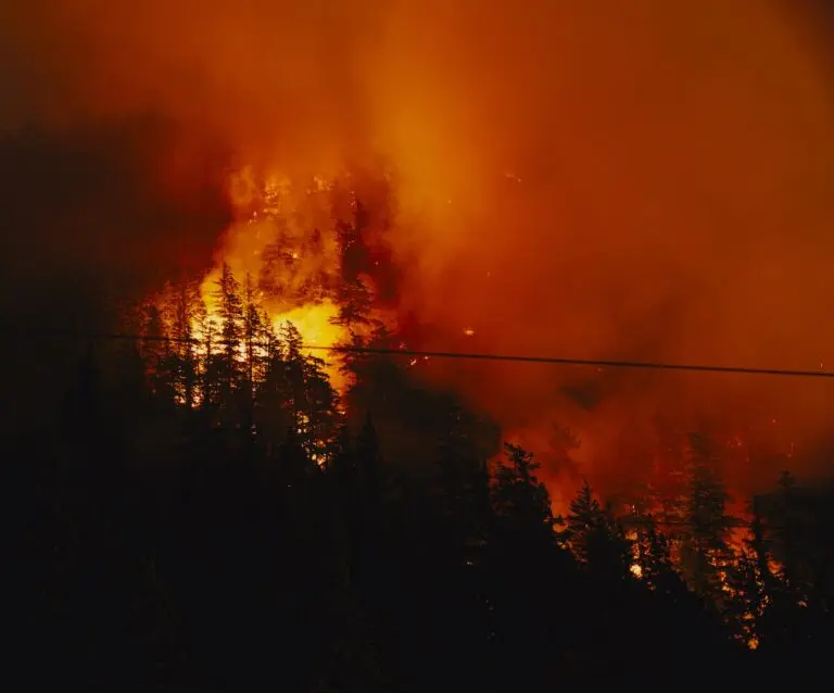 Current Status of the Squamish Fire and Community Response image 1