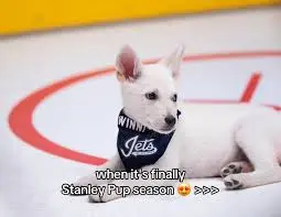 Stanley Pup: The New Canine Sensation Taking Over Social Media