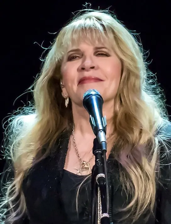 The Enduring Legacy of Stevie Nicks image 1