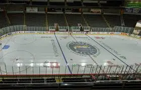 Recent Developments in the Toledo Walleye Hockey Team image 1