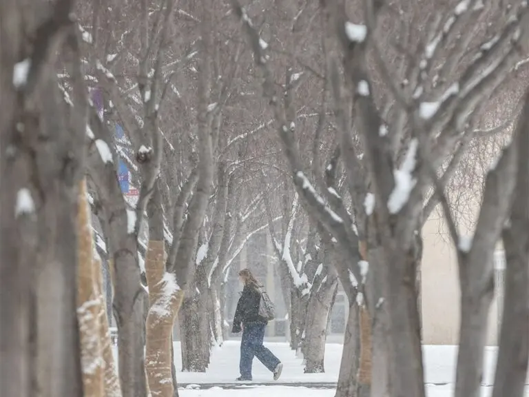 Calgary Weather: Current Conditions and Upcoming Forecasts