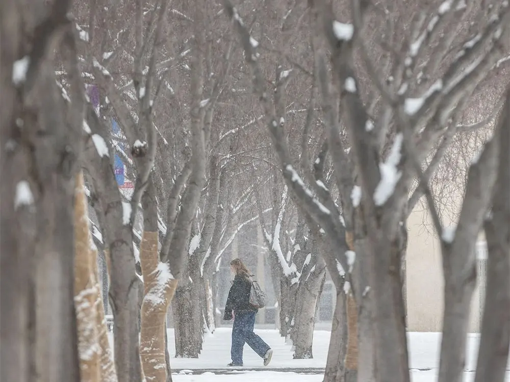 Calgary Weather: Current Conditions and Upcoming Forecasts