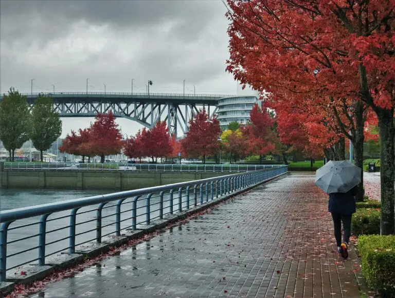 Understanding the Weather in Vancouver: Trends and Insights