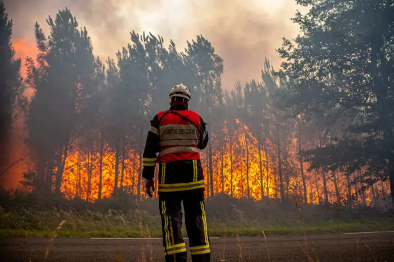 Understanding Wildfires: Causes and Consequences
