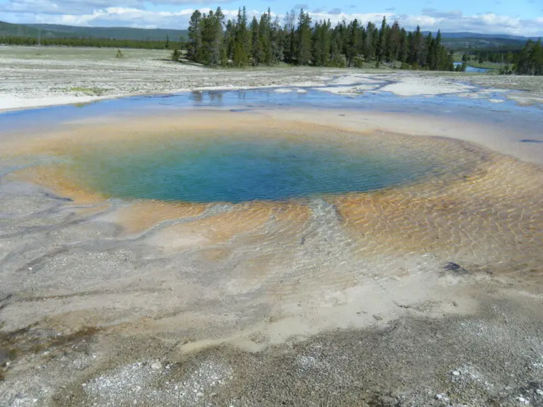 Exploration de Yellowstone : Un Joyau Naturel Américain