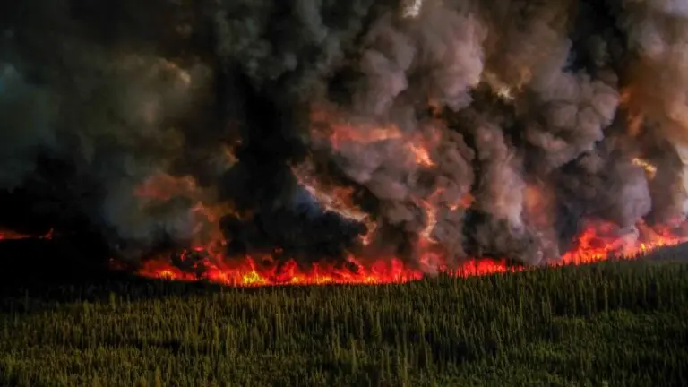 BC Wildfire: Current Situation and Community Impact