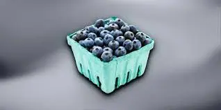 Important Updates on Blueberry Recall Due to Listeria Risks image 1