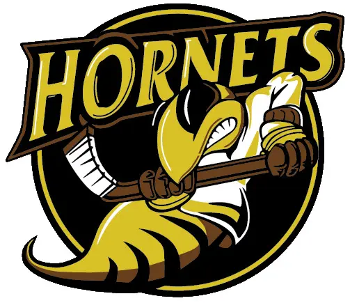The Cambridge Hornets: A Pillar of Community Sports
