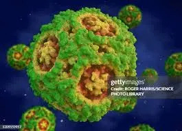 Understanding Canine Parvovirus: Risks & Prevention