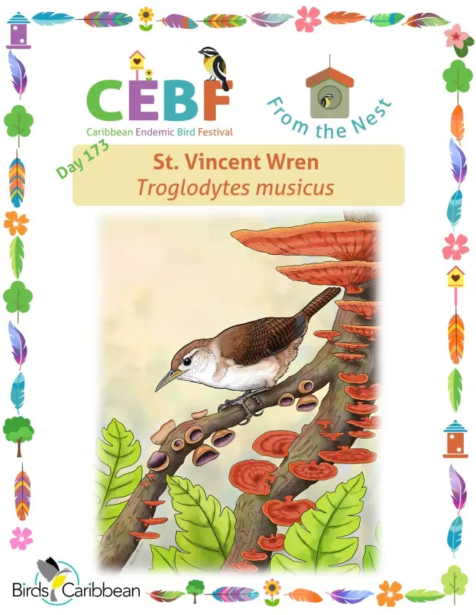 The Vibrant Caribbean Festival: A Celebration of Culture