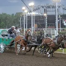 Chad Fike Chuckwagon: A Rising Star in Chuckwagon Racing
