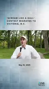 The Role and Impact of Chek News in Canada image 1