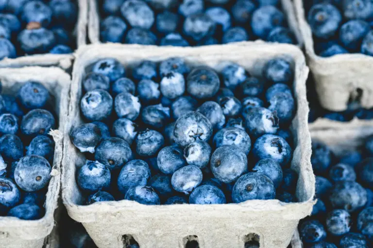 Understanding the Recent FDA Blueberry Recall image 1