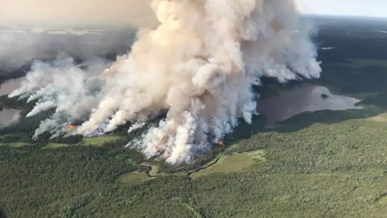 An Update on Forest Fires in Ontario: Challenges in 2023