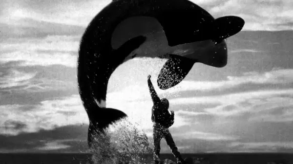 The Enduring Legacy of Free Willy and Its Impact on Conservation image 1
