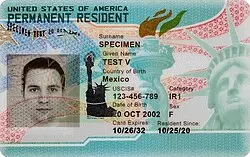 Understanding the Role of Green Card Holders in the U.S.