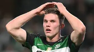 The Rising Star: Viktor Gyökeres in Professional Football