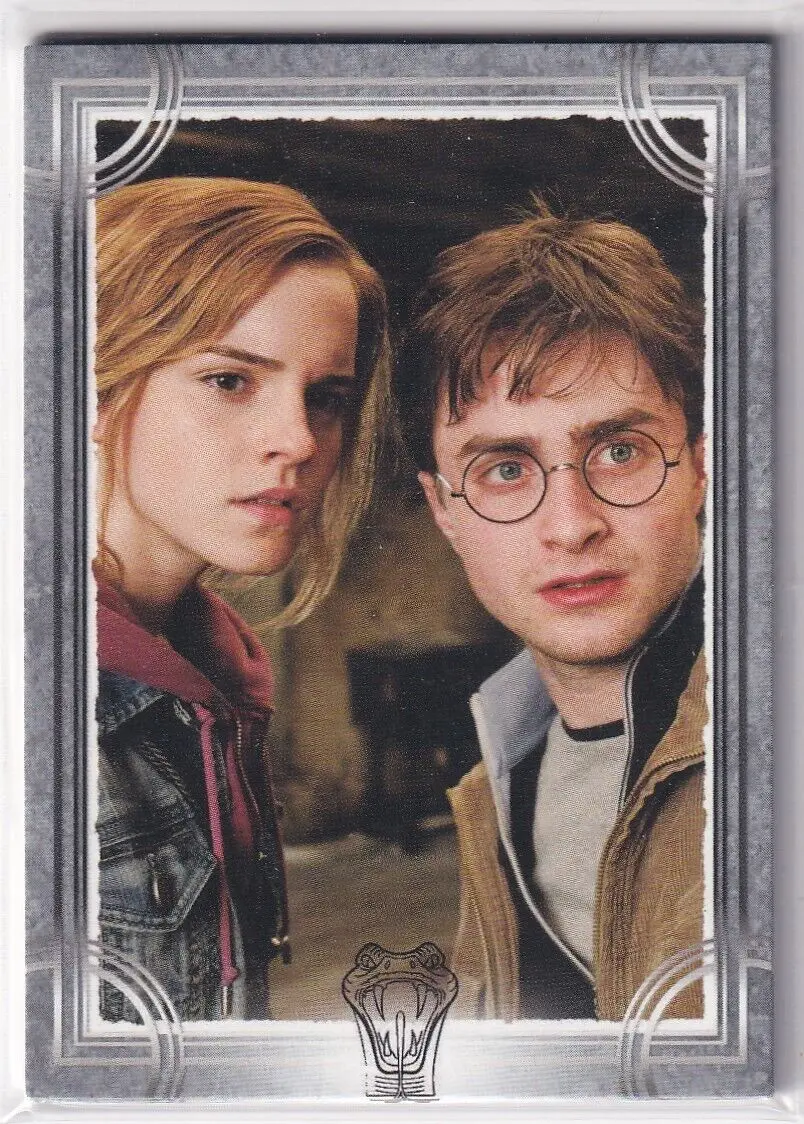 The Enduring Legacy of Harry Potter image 1