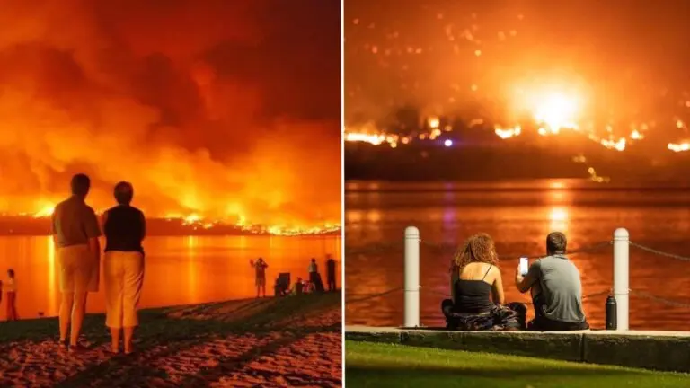 Latest Updates on the Kelowna Fire Incident image 1