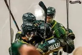 The Promising Future of Landon Marleau in Hockey image 1