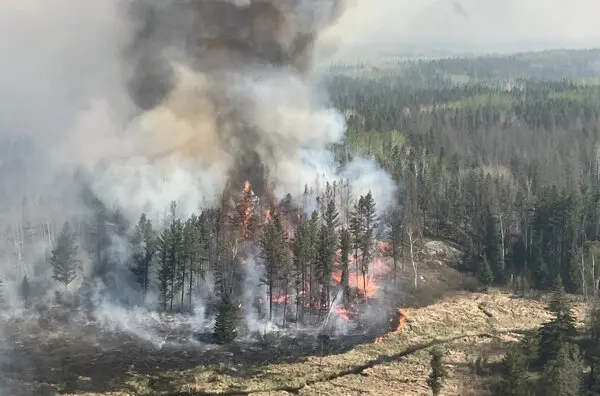 Understanding the Impact of Manitoba Wildfires in 2023 image 1