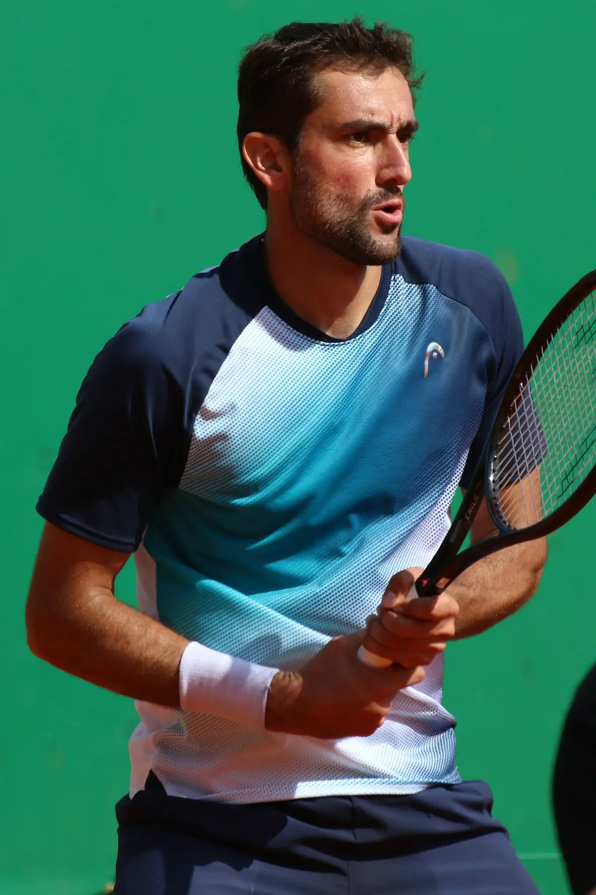 Marin Čilić : Un héros du tennis croate