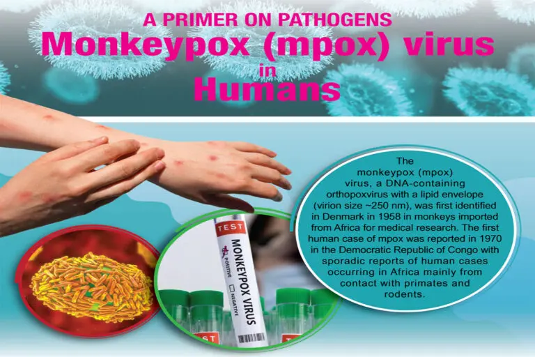 What You Need to Know About the Mpox Virus image 1
