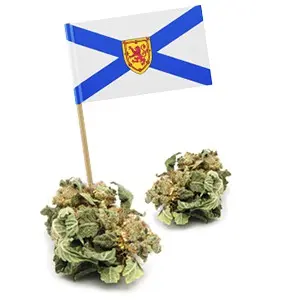 Exploring the Wonders of Nova Scotia image 1