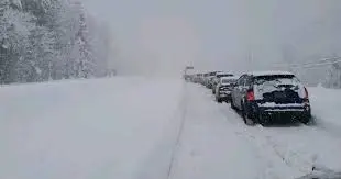 Severe Ontario Storm: Impacts and Recovery Efforts