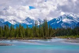 The Significance of Parks Canada in Preserving Nature image 1