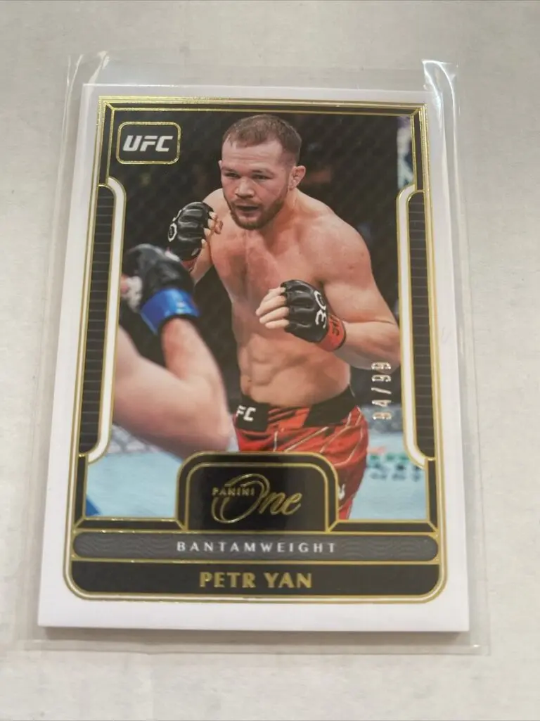 The Rise and Future of Petr Yan in UFC image 1