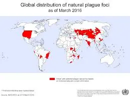 Understanding Pneumonic Plague: An Ongoing Health Concern