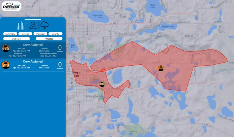 Understanding the Recent Power Outage in Fergus, Ontario image 1