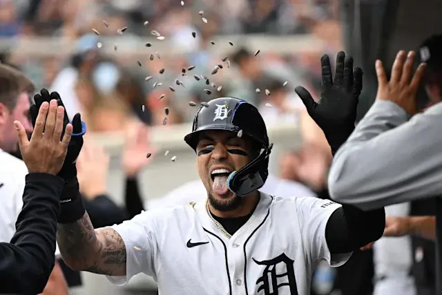 Rays vs Tigers: A Competitive Showdown in MLB
