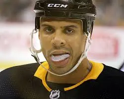 Ryan Reaves: The NHL’s Toughest Enforcer