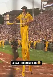The Savannah Bananas: A New Era in Baseball Entertainment