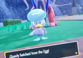 The Fascination with Shiny Quaxly in Pokémon Scarlet and Violet image 1