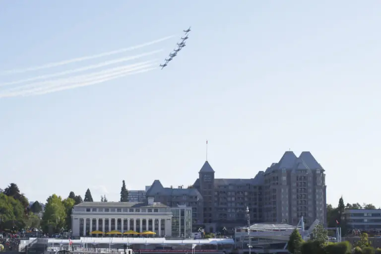 The Rising Trend of Snowbirds in Victoria, BC image 1