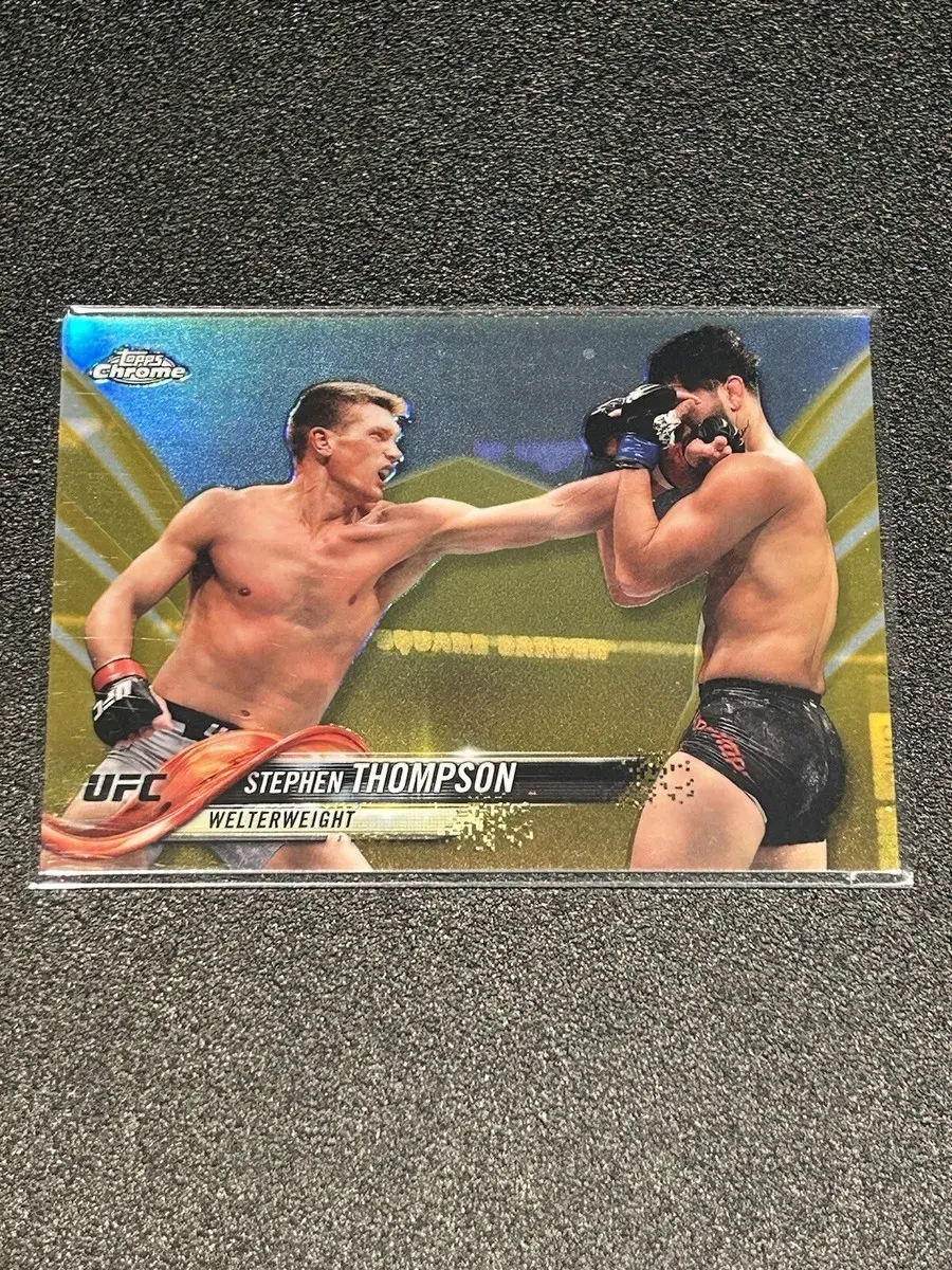 A Closer Look at Stephen Thompson: MMA Star and Striker