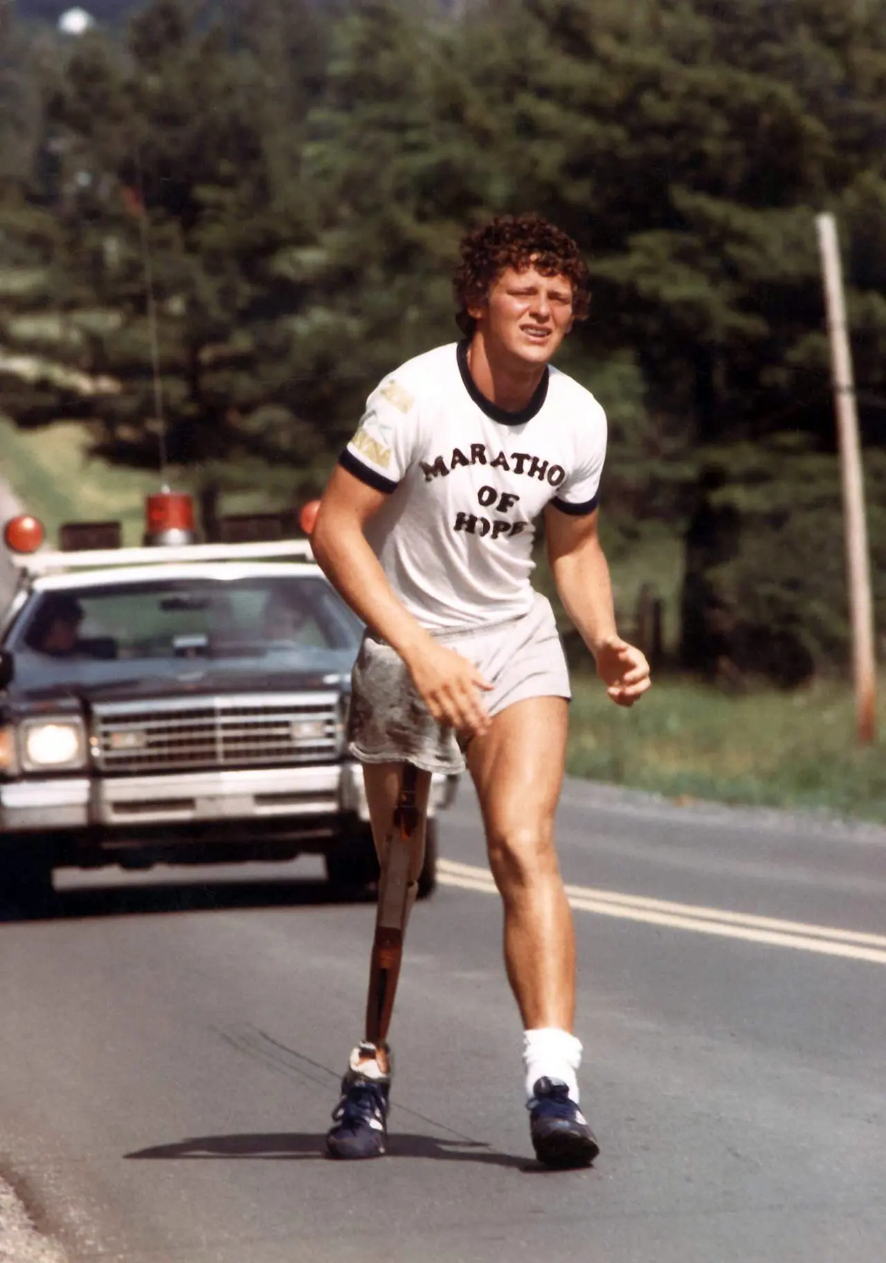 The Enduring Legacy of Terry Fox image 1