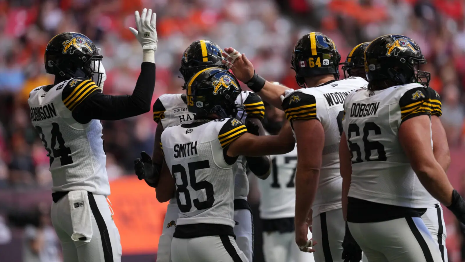 Exciting Showdown: Tiger-Cats vs Lions