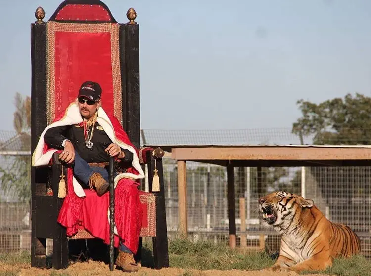The Enduring Legacy of Tiger King image 1