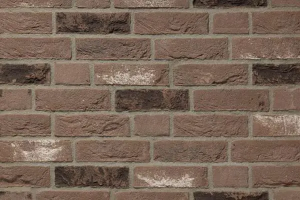Exploring Wall to Wall Renovation Trends in 2023 image 1