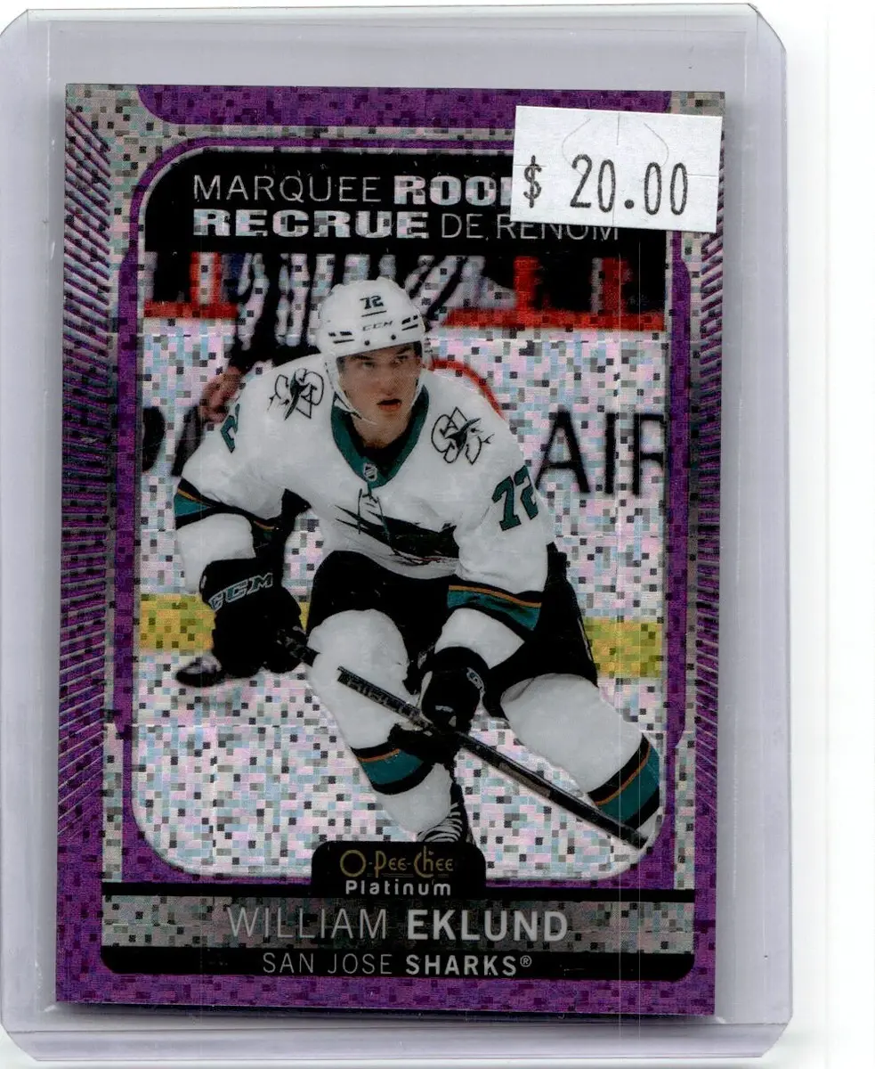 William Eklund: The Promising Future of NHL