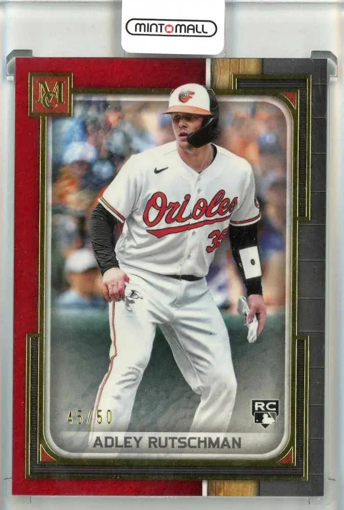 Adley Rutschman: The Future of the Baltimore Orioles