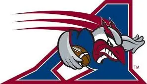 Les Alouettes de Montréal: Histoire, Performances et Avenir