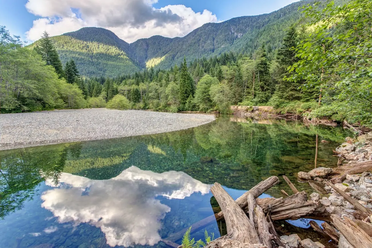 Exploring Alouette Lake: A Natural Paradise in BC