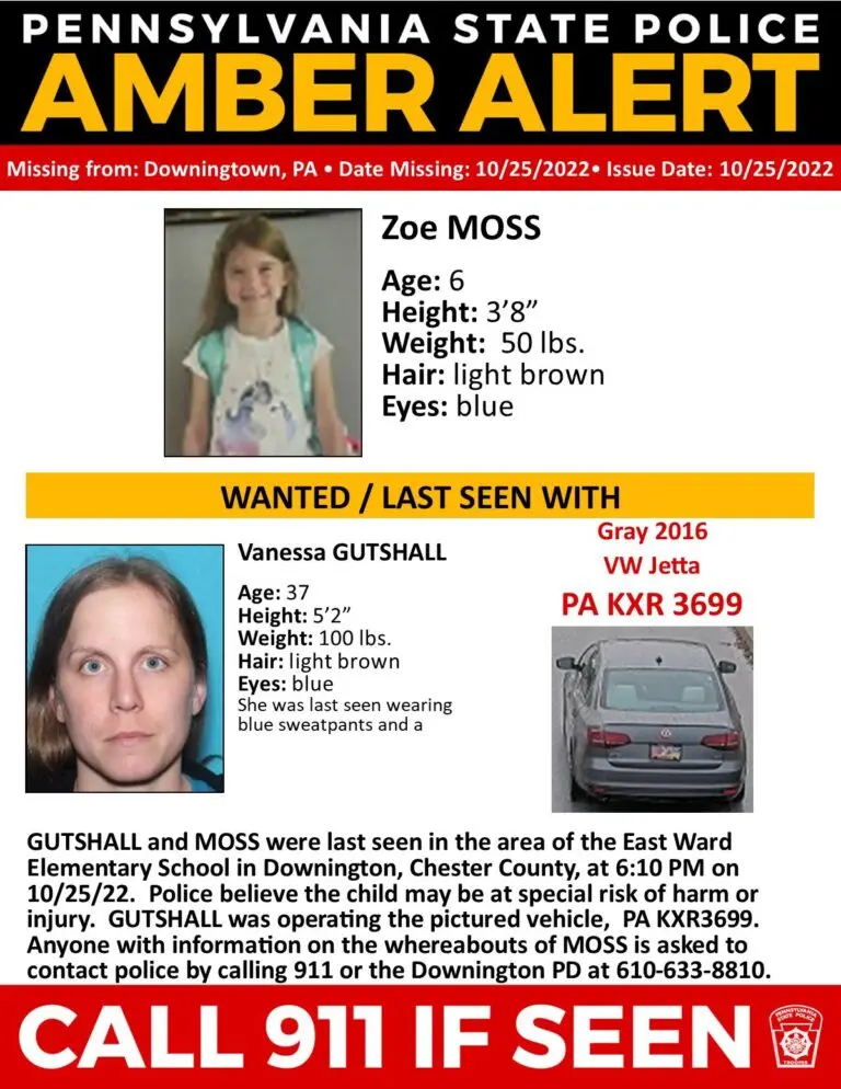 Understanding the Importance of Amber Alerts image 1